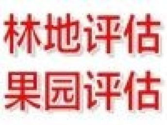 圖 專業(yè)快速評估公司 北京會計審計